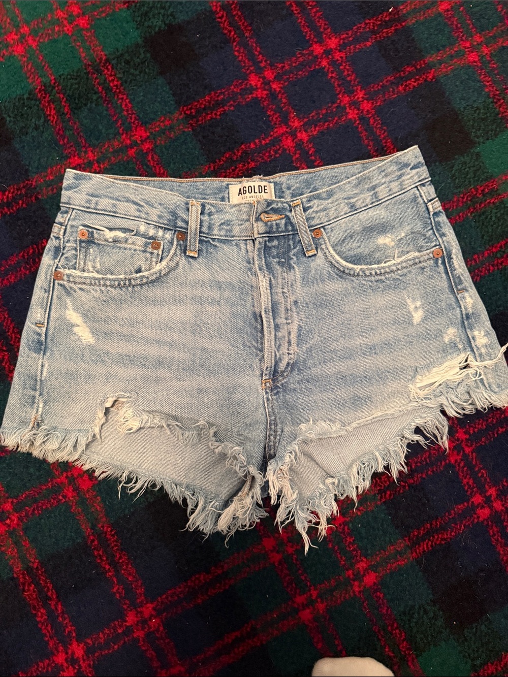 Agolde Parker Shorts - Light Wash